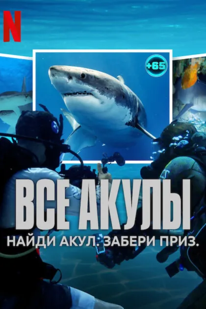 Все акулы